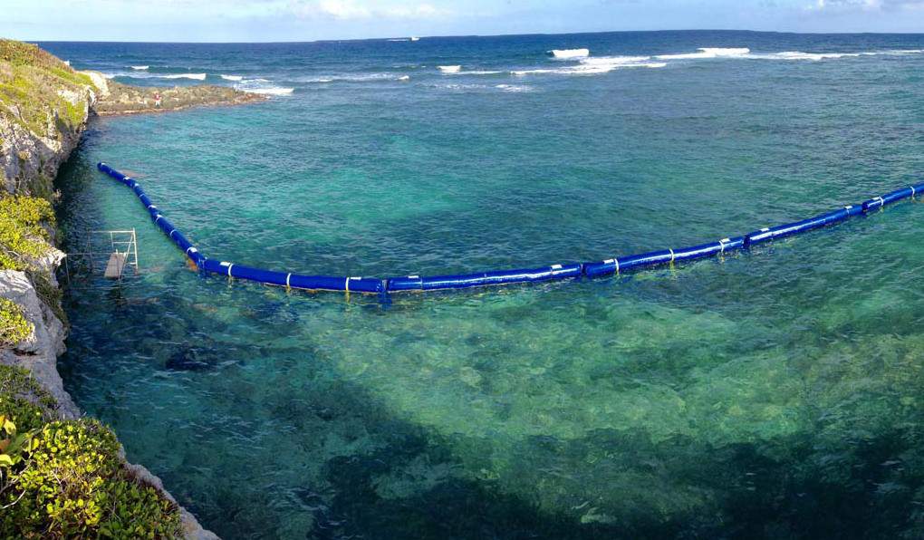 Floating protection system for beaches against Portuguese man o' war jellyfish