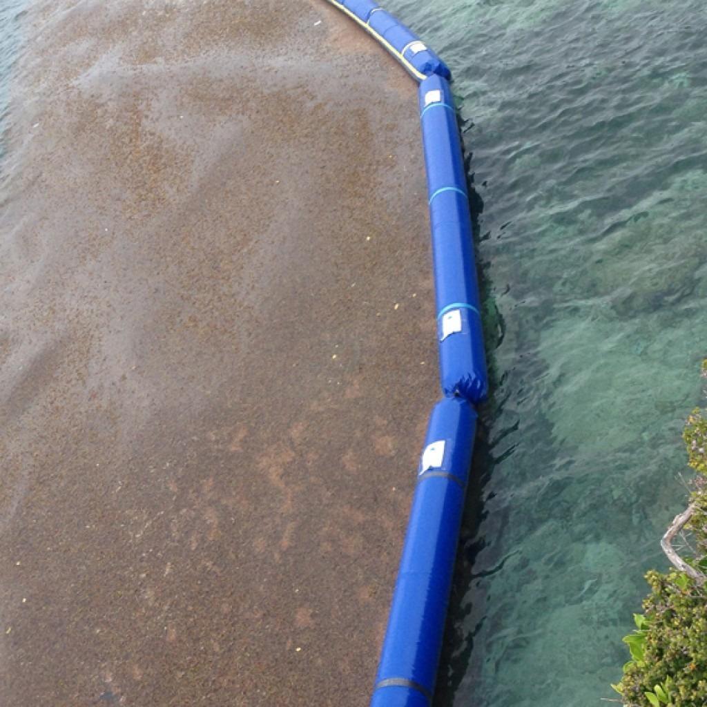 Floating protection system for beaches against Portuguese man o' war jellyfish 3
