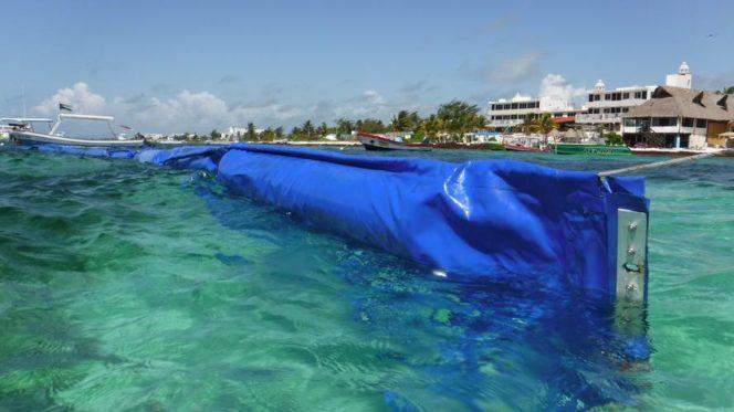Floating protection system for beaches against Portuguese man o' war jellyfish 2