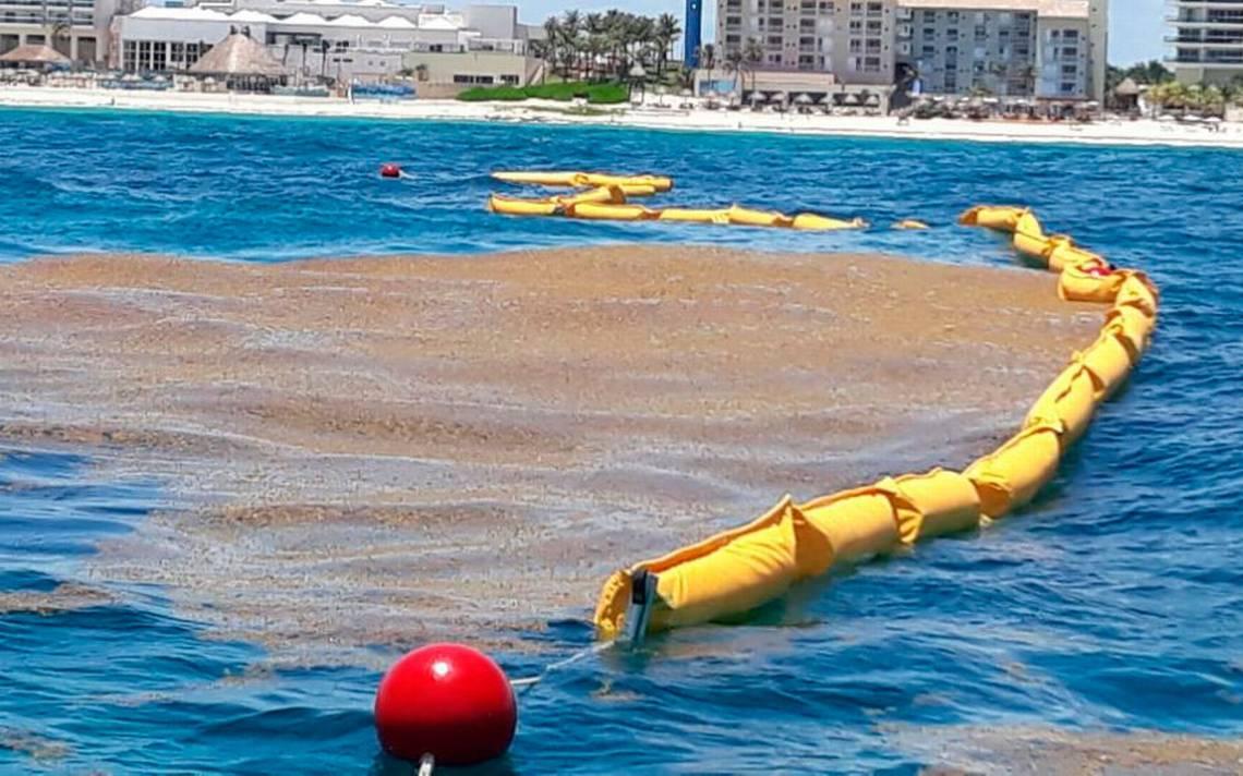 Floating protection system for beaches against Portuguese man o' war jellyfish 6